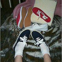  : Gallery : original : 2013 : 11 : p0001780.jpg