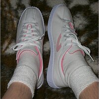  : Gallery : original : 2013 : 11 : p0003255.jpg