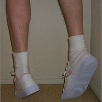  : Gallery : original : 2013 : 11 : p0003257.jpg