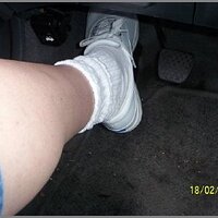  : Gallery : original : 2013 : 11 : pedalkedscapris2183.jpg