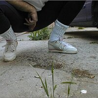  : Gallery : original : 2013 : 11 : pnik001.jpg