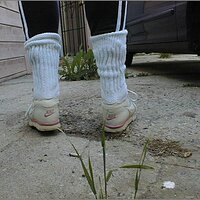  : Gallery : original : 2013 : 11 : pnik003.jpg