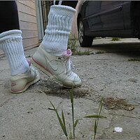  : Gallery : original : 2013 : 11 : pnik004.jpg