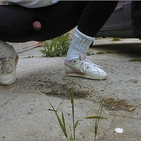  : Gallery : original : 2013 : 11 : pnik005.jpg