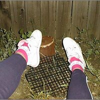  : Gallery : original : 2013 : 11 : pnike014.jpg