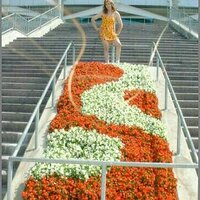  : Gallery : original : 2013 : 11 : untitled4.JPG