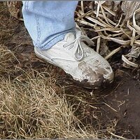  : Gallery : original : 2013 : 12 : kedsbabe162.jpg