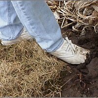  : Gallery : original : 2013 : 12 : kedsbabe163.jpg