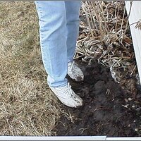  : Gallery : original : 2013 : 12 : kedsbabe164.jpg