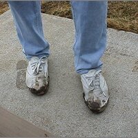  : Gallery : original : 2013 : 12 : kedsbabe169.jpg