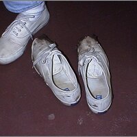  : Gallery : original : 2013 : 12 : kedsbabe195.jpg