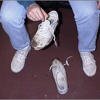  : Gallery : original : 2013 : 12 : kedsbabe199.jpg