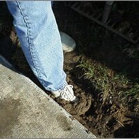  : Gallery : original : 2013 : 12 : kedsbabe628.jpg