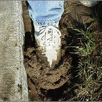  : Gallery : original : 2013 : 12 : kedsbabe629.jpg