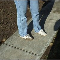  : Gallery : original : 2013 : 12 : kedsbabe633.jpg