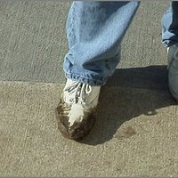  : Gallery : original : 2013 : 12 : kedsbabe643.jpg