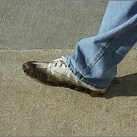  : Gallery : original : 2013 : 12 : kedsbabe648.jpg