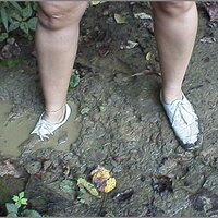  : Gallery : original : 2013 : 12 : kedsbabea201.jpg