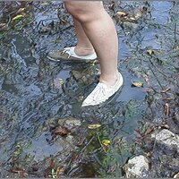  : Gallery : original : 2013 : 12 : kedsbabea207.jpg