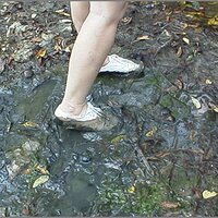  : Gallery : original : 2013 : 12 : kedsbabea208.jpg