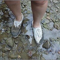  : Gallery : original : 2013 : 12 : kedsbabea214.jpg