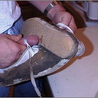  : Gallery : original : 2013 : 12 : kedsbabea232.jpg