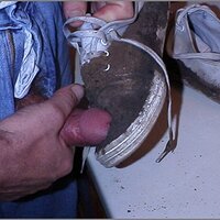  : Gallery : original : 2013 : 12 : kedsbabea234.jpg