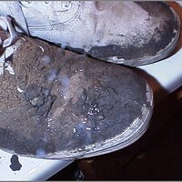  : Gallery : original : 2013 : 12 : kedsbabea240.jpg