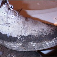  : Gallery : original : 2013 : 12 : kedsbabea242.jpg