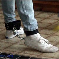  : Gallery : original : 2013 : 14 : karenina116.jpg