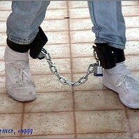  : Gallery : original : 2013 : 14 : karenina136.jpg