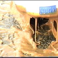  : Gallery : original : 2013 : 15 : eve89k.jpg