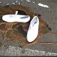  : Gallery : original : 2013 : 15 : eve89m.jpg