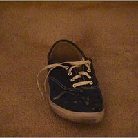  : Gallery : original : 2013 : 16 : dk1j_x_bluecum2.jpg