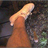  : Gallery : original : 2013 : 16 : dk_out_g_wh3.jpg