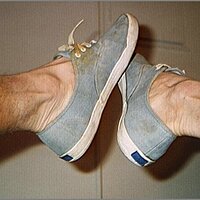  : Gallery : original : 2013 : 19 : JCKEDS01.JPG