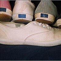  : Gallery : original : 2013 : 19 : JCKEDS06.JPG