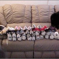  : Gallery : original : 2013 : 19 : cj-037.jpg