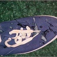  : Gallery : original : 2013 : 19 : cj26.jpg