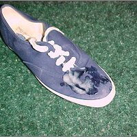  : Gallery : original : 2013 : 19 : mvc-037s.jpg