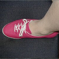  : Gallery : original : 2013 : 21 : PC250051.JPG