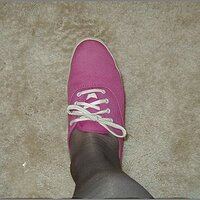  : Gallery : original : 2013 : 21 : PC260094.JPG