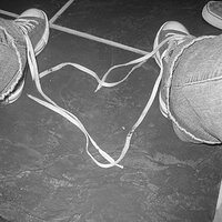 heart with my shoelaces.jpg