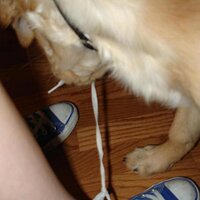 she had untied both my shoes1.jpg