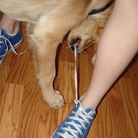 she had untied both my shoes2.jpg