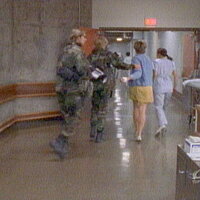 sg11.jpg