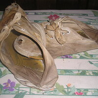P1010063.JPG