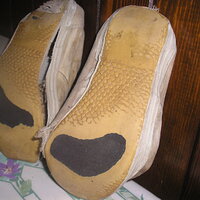 P1010068.JPG