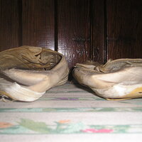 P1010070.JPG