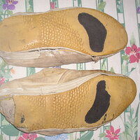 P1010049.JPG